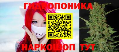 2c-b Балахна