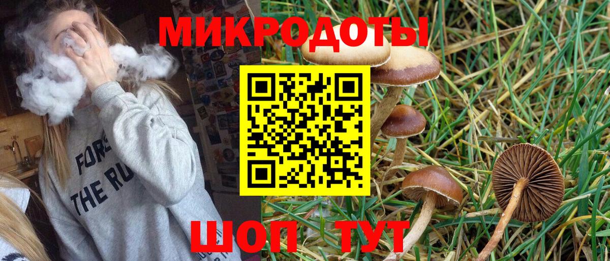 Галлюциногенные грибы Magic Shrooms Екатеринбург