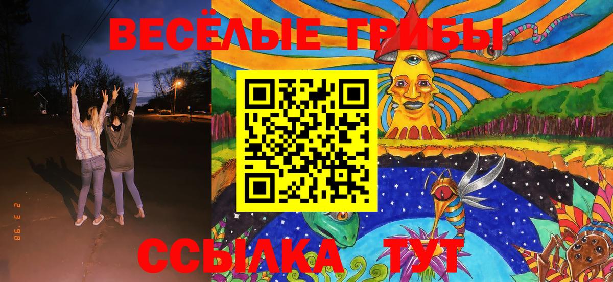 Екатеринбург  Псилоцибиновые грибы Magic Shrooms  Псилоцибиновые грибы ЛСД  Вход с VPN 